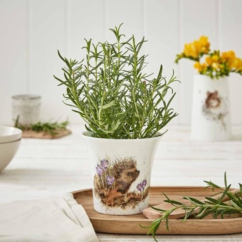 Wrendale Designs - 'New Beginnings' Herb Pot