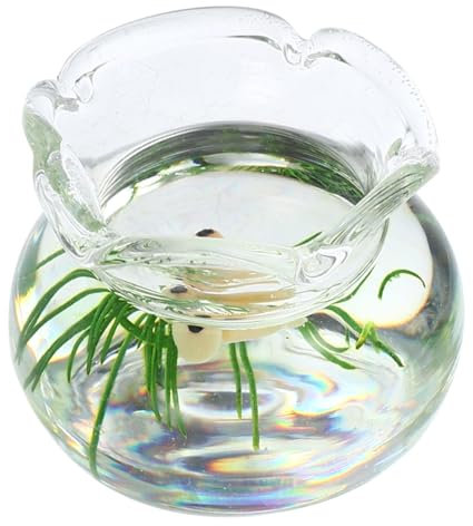 ERINGOGO Realistisches Mini-fischtank-Miniatur-hausdekor-harzmodell Für Mini-landschaftsszene