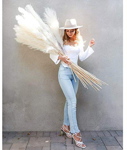 QIANYUN Pampasgras Deko Groß 3 STK - Schilf getrocknete, Gesamtlänge 120 cm, Weiss/Cremeweiß, Trockenblumen als Deko für einen Boho - Wohnzimmer Deko, Hochzeit Fotografie Moderne Dekoration