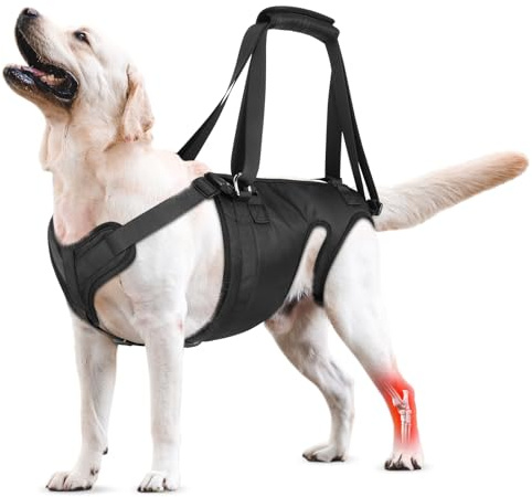 Imbracatura per cani di taglia grande e media, supporto per zampe posteriori ideale per anziani, disabili, cani feriti e artritici nel recupero del legamento crociato anteriore, imbracatura sicura per