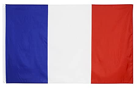 Lushandy Drapeau Francais 90x150cm, 1PCS Drapeau Tissu Coupe-vent, Decoration Exterieur Jardin Drapeau Durable (A)