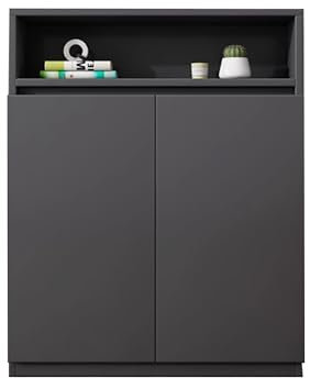 Radiator Covers Cabinet Shelf Heating Cover Storage Organizer Cabinet With 2 Doors Open Storage Heater Cover for Old Radiators Easy Assembly, for Home Living Room Bedroom Hallway(Dark gray,60*20*100cm