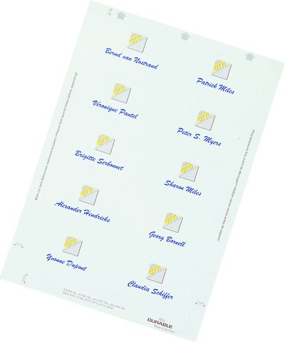 DURABLE Einsteckkarte BADGEMAKER®, Karton, 150 g/m², 90 x 60 mm, weiß (160 Stück), Sie erhalten 1 Packung á 160 Stück