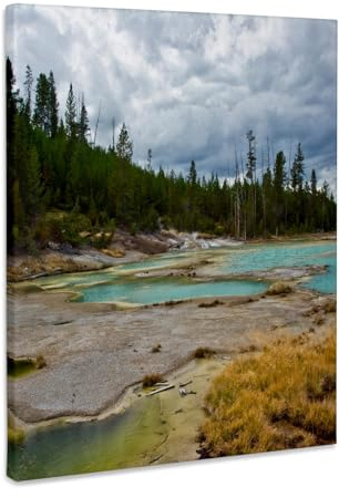 3dRose Porcelain Basin, Norris Geyser Basin, Yellowstone National Park Museum Grade Canvas Wrap 16x20