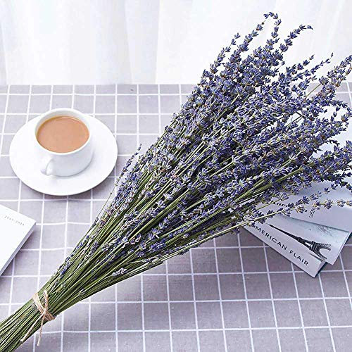 Natürlicher Lavendel-Strauß mit blauem Lavendel, getrocknet oder Heimdeko, Handwerk, Geschenk, Hochzeit oder jeden Anlass