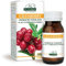 Dr Giorgini CRANBERRY ESTRATTO TITOLATO pastiglie - 50 g (integratore a base di cranberry, titolato al 40% in PROANTOCIANIDINE, utile per la funzionalità delle vie urinarie)