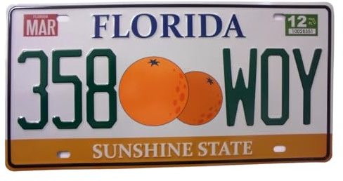 OPO 10 - Plaque D' IMMATRICULATION de Voiture USA - réplique en métal : Florida (87)