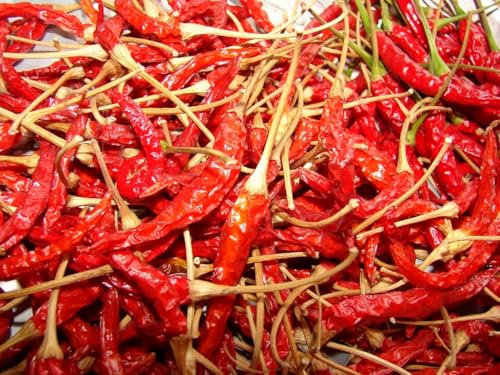 AGROBITS Thai Super Chilli – l'une des Meilleures variétés de Piment thaï Chaud – 15 graines
