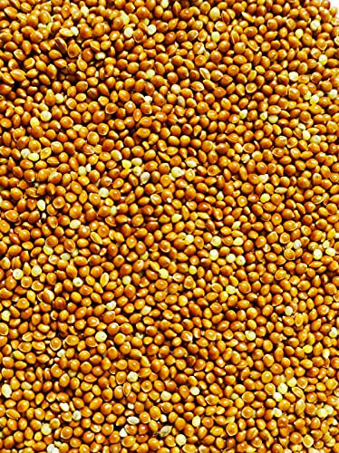 Eurital Hirse Rot 5 Kg für Wellensittiche Großsittiche und Tauben