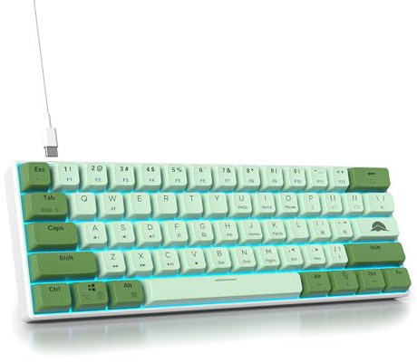 SbocKeeb Gaming Tastatur 60 Prozent, Wired RGB Mechanische Tastatur America QWERTY, Mini 61 Tasten USB Tastatur Anti-Ghosting für PC Gamer Typist（GS61 RGB-61 Matcha）