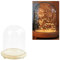 Warmiehomy Glass Cloche Bell Jar Dome with Wood Base Glass Domes for Display Suitable for forever flower doll and toys(Diameter 9cm, Height 15cm)