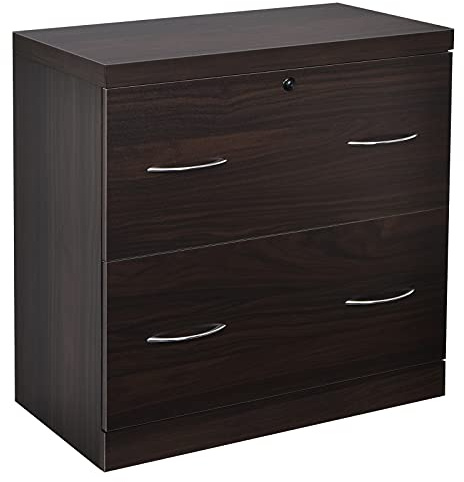 COSTWAY File Cabinets with 2 Drawers & Adjustable Hanging Bar, Lockable Storage Organizer Chest, Freestanding Print Stand for Home Office (Coffee)