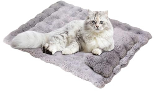 Générique Lit pour Animal,Matelas Doux avec Oreiller Amovible - Grand Lit À Chat Et Tapis De Sommeil Canin,pour Chaton Petit Moyen Grand intérieur Maison Appartement Sol canapé Caisse chenil