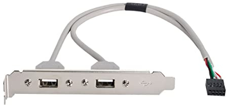 chenyang Cable multiplicador de placa base de 9 pines de 1 a 2 puertos USB 2.0 de 40 cm con soporte PCI de 120 mm
