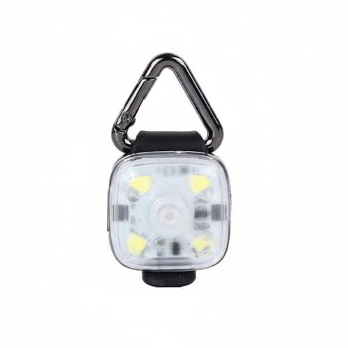 RoaQinFo Light Pendant LED Tag Dog Beacon Marker casing with Soft Frosted Lens and Three Effects USB for Weekly use Suitable for Pets Collars Dusk commutes Neighborhood Routes, White