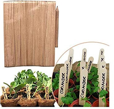 Prime Qualität (Everything You Need) 50 Recyclable Environment Friendly Bamboo Wood Seed Labels Sticks With Pencil - Great For plant identification