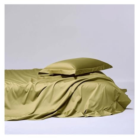 Luxuriöses Bettlaken Haustuch ohne Gummizug Betttuch aus 100% Langstapeliger Baumwolle Laken Leintuch Ultraweiche Bettwäsche in Hotelqualität(Light Green,245x270cm)