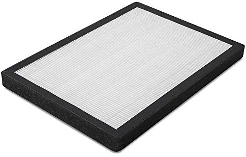 TROTEC HEPA-Filter (99,97% Filterleistung) für Luftreiniger AirgoClean 100 E