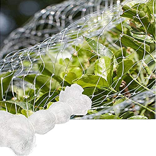 Rete per Uccelli Nylon Anti Piccioni da Balcone, Rete Protezione Giardino Resistente per Frutteto, Laghetti, Stagni, Piante e Verdure, Trasparente (Mesh : 2.5cm, Size : 3m x 5m)