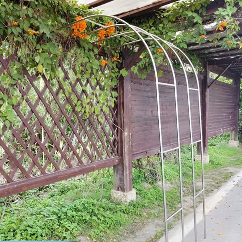 GUOGLZ Rankhilfe Halbbogen, Verzinkt RosenHalbbogen, GartenTorbogen Metall Stabil Rosenbögen, Für Hochzeit Partys(160 * 24ocm(5.2 * 7.9ft))