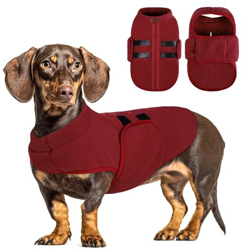 PUZAUKAL Hundfleeceväst, justerbar vintervarma kläder för små hundar, hundtröja med koppelhål för medelstora hundar katter (vinröd, XS)