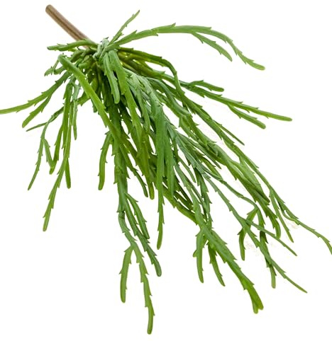 artplants.de Rhipsalis Artificial Hadrian en con una Vara para Fijar, Verde, 35cm - Planta - Mata sintética