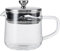 La Cafetière Loose Leaf 2-Cup/550ml Teapot with Lid, Heat-Resistant Glass Tea Infuser with Built-in Stainless Steel Filter for Tea Leaves and Ground Coffee Infusions