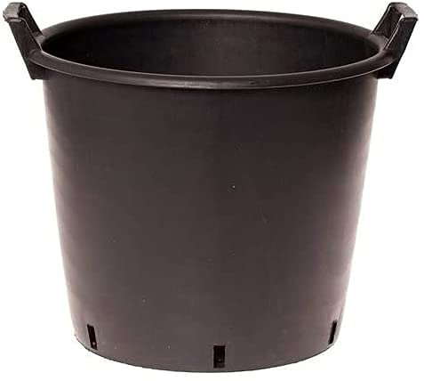 Muddy Hands Heavy Duty Large Plastic Plant Pot with Handles Outdoor Garden Vegetable Salad Flower Tree Planter Container (3, 70 Litre)