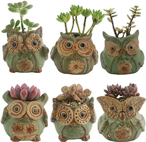 Ogrmar 6 x Blumenkästen mit Eulen-Motiv, niedlicher Eulen-Blumentopf, moderne Keramik-Sukkulenten-Übertöpfe, kleine Blumen-Pflanzgefäße, Tierdekoration (Eulen-Blumentopf 2)