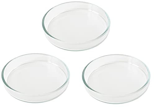 GARNELEN4YOU® Futterschalen Set | Echtglas Made in Germany | Premium Futter-Schalen aus Laborglas für Garnelen-Futter | sichere & gezielte Fütterung | Glas statt Acryl-Plastik (3X 6 cm)