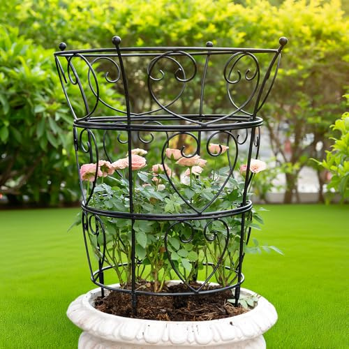 Goooxim Large 24.6x17 Peony Support Rings - Metal Plant Support