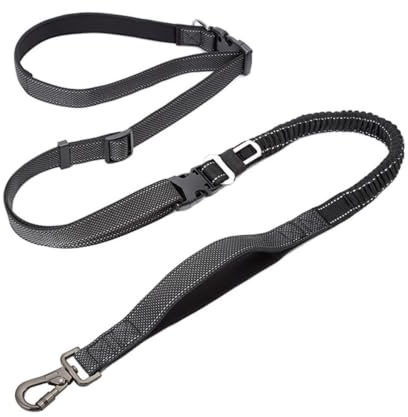 MotiveTech Laisse Mains Libres Réglable Laisse Bandoulière Ajustable pour Propriétaires Chiens, Joggeurs, Jogging, Voiture, Noir, Largeur 2.5cm, Longueur 145-240cm