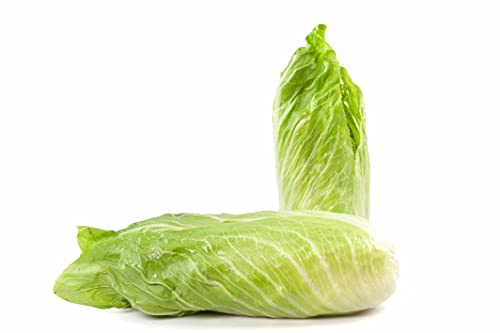 Semi Cicoria Pan di Zucchero Franchi Sementi 10g