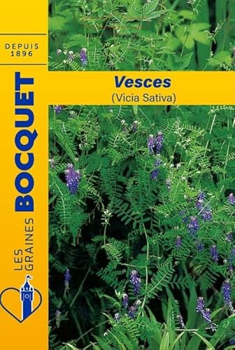 Sachet de graines de Vesces (Vicia sativa) pour 10m² - 100 g - fleur vivace - LES GRAINES BOCQUET