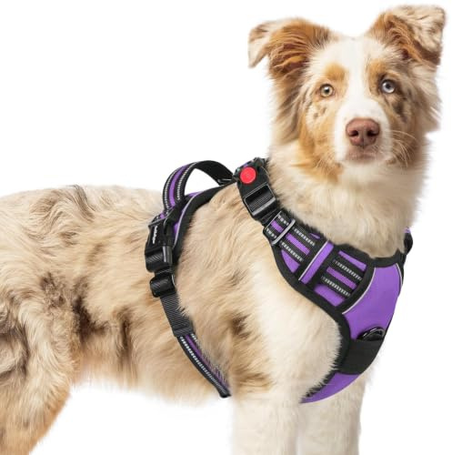 rabbitgoo Harnais Chien avec 3 Boucles, Facile à Mettre et à Enlever, Harnais Anti Traction pour Chien avec Poignée et Attache Devant, Réglable, Réfléchissant, Arnet pour Chiens Moyen, Violet, M