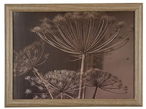 Landhaus Tablett, Knietablett, Kissentablett, Schoßtablett Bärenklau