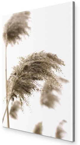 murando - Wandbilder XXL Natur 80x120 cm 1 tlg - Wand Deko Vlies Leinwand Bilder Groß Wanddeko Wohnzimmer Schlafzimmer Kunstdrucke - Pflanzenmotiv Schilf Pampasgras b-B-0548-b-a