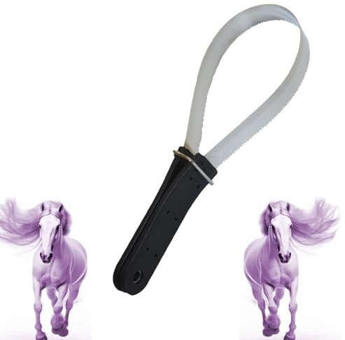 Raschietto per capelli, spazzola in crine di capelli, spazzola per demolizione di cavallo a raschietto a doppia faccia, raschietto spazzole per Resistenti alla ruggine per Raschietto per(nero)