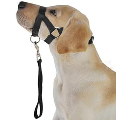 SUNGOOYUE Hundmunkorgsrephalsband, Justerbar Huvudgrimma i Polyester med Koppel, Drickbar Munkontroll för Bitande Skällande och Tugga, Husdjursträning för små Medelstora Hundar L (M)