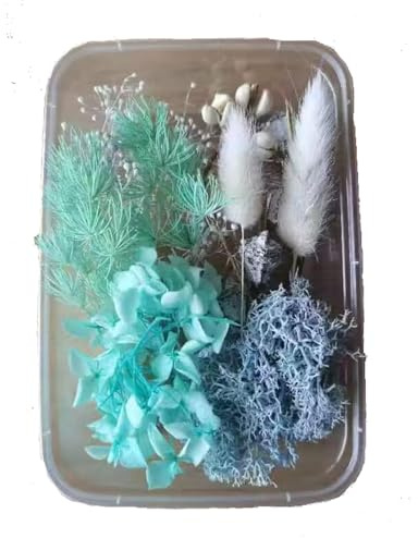 YiYFiT Naturliga torkade blommor, 8 typer riktiga torkade blommor blad gör-det-själv hantverk material torkade blommor buketter material torkade blommiga dekorationer för hartshantverk ljustillverkning kort (blå med låda)