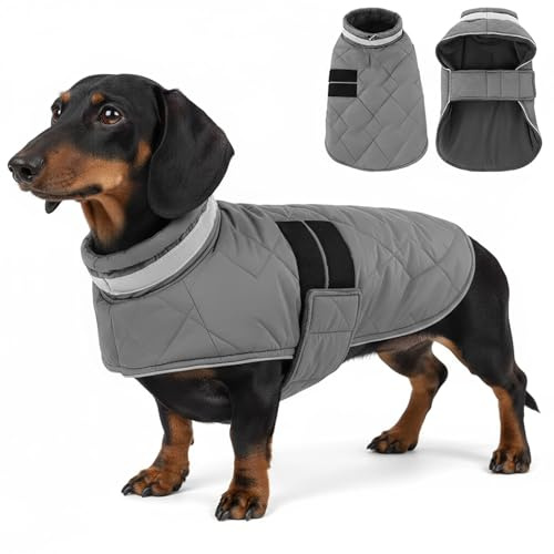 ASENKU Cappotto Impermeabile per Cane Invernale, XS Cappottino per Cani di Piccola Taglia, Giacca Invernale Foderata in Lana Riflettente, Cappotti e giubbotti per Cani Chiusura Regolabile