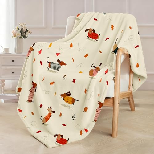 Chickwin Coperta Plaid Pile di Flanella, Coperta Letto Singolo 120x150 cm, Coperta Divano Blanket Grande Caldo Morbida, Leggera, Soffice, Accogliente e lussuosa