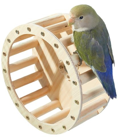 Papegoja löparhjul – föddeshjul | fågelmatare snurrar leksak, l interaktiv roterande leksak, trä parakiter bur tillbehör, träningstillbehör för Conures lovebird intelligenstillväxt