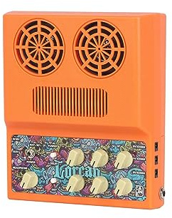 Caline CA100G - Portable guitar amplifier, 2 x 10 W combo, headphone input, integrated overdrive and delay for recording performance exercises