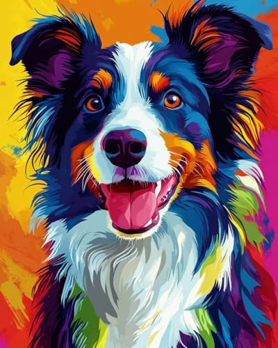 WANMIU Peinture par Numero Adulte Border Collie coloré DIY Peinture à l'huile Numéros Toile Paint by Numbers Peindre par Nombre Kits sans Cadre 40x50cm