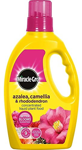 6 X Miracle-Gro Azalea, Camellia and Rhododendron Liquid Plant Food Bottle, 1 L