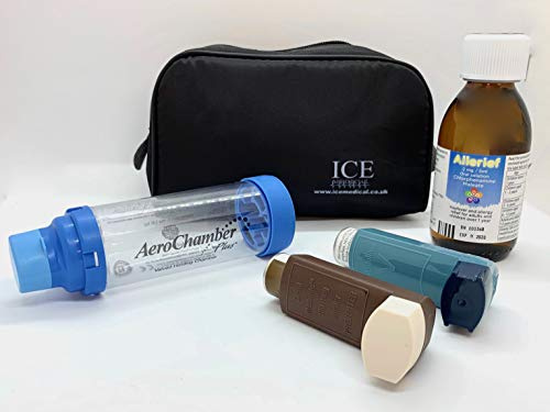 ICE Medicinsk inhalator väska – medium Svart