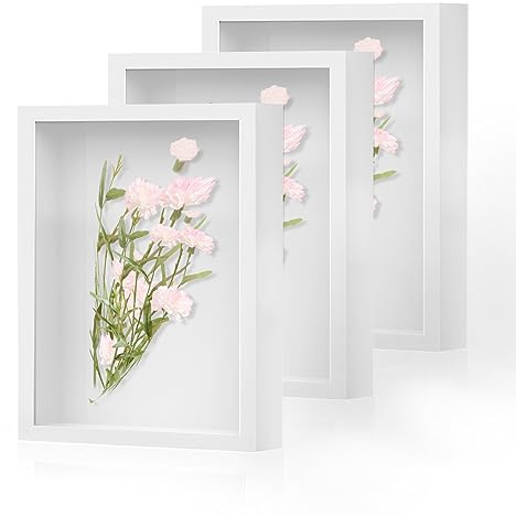 Shadow Box Frame 8x10 - 3 Pack Wood Deep Shadowbox with Glass Shadow Boxes Display Cases Suitable for Photos, Dried Flowers, Handicrafts Picture Frames for Wall (White)