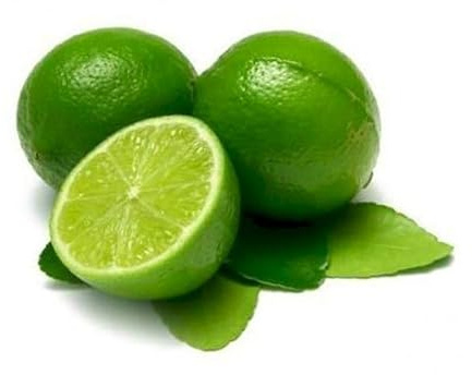 Árbol de la Lima: Cultiva tu Propio Árbol Frutal de Lima Persa en Casa