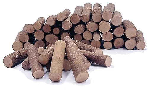 Palitos para manualidades, madera, ramitas, troncos, juguetes, rellenos de jarrones, tallos de calabaza, decoraciones rústicas, adornos, piezas sueltas, materiales de juego
